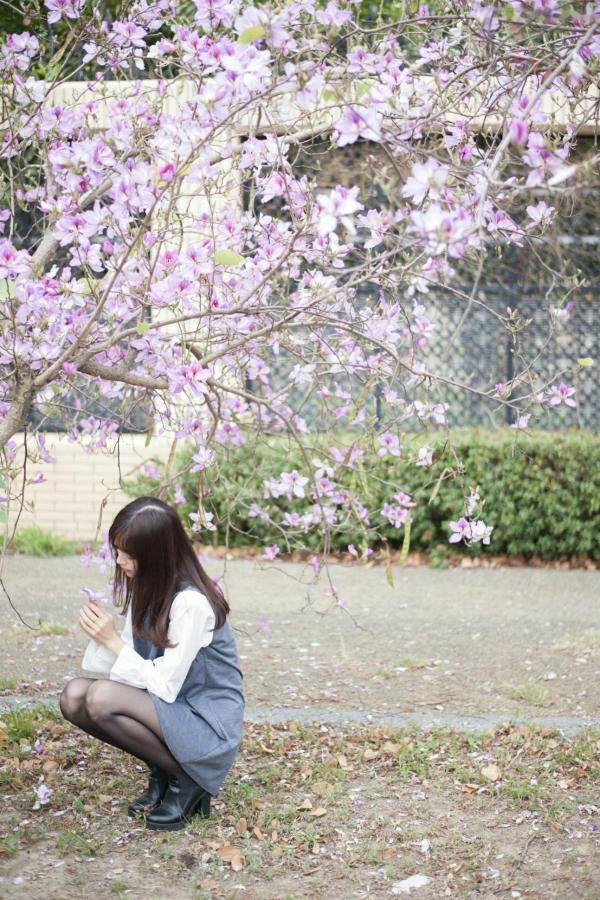    台湾正妹彭丽嘉(Lady憶憶)校园优雅穿搭，花树下清纯气质黑丝美腿写真集第31张图片