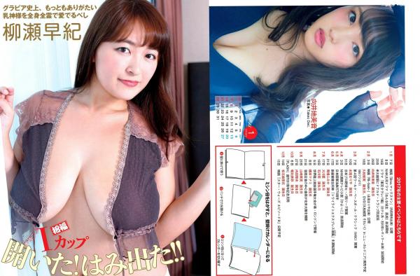    FLASH写真选集_土屋太凤/佐佐木希/柳濑早纪/高田秋/川崎彩 泳装内衣私房美图特辑第11张图片
