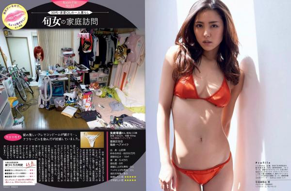    FLASH杂志写真：武田玲奈、柏木由纪等女神海边比基尼夏日特辑 2016.05.31第13张图片