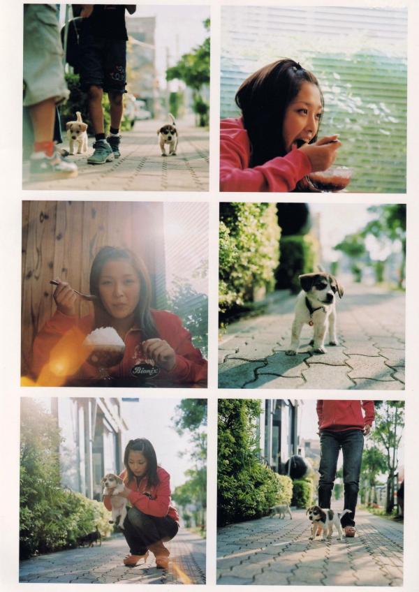 石川梨華 石川梨华  PB写真集_石川梨華《Hana bi 華美》清纯气质日系唯美写真大赏99P第41张图片