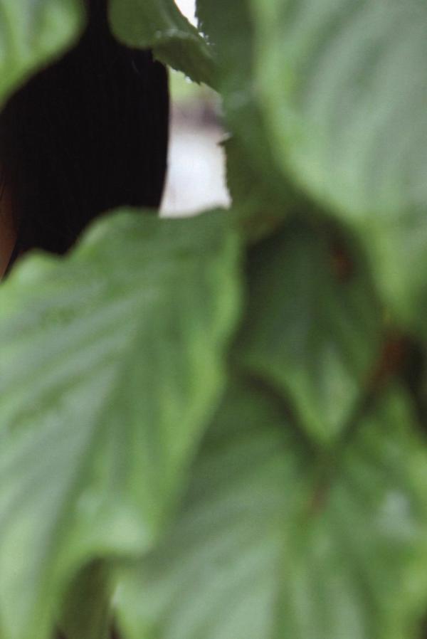 工藤遥   PB写真集_工藤遥《Tenki ni Naare!》日系清新写真，清纯少女居家与街拍风格，展现邻家女孩灵动之美 [83P]第30张图片