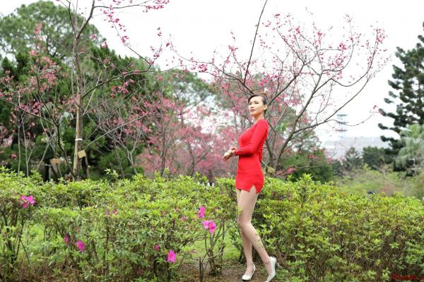 蔡譯心 蔡译心  台湾正妹蔡译心户外写真合集，都市街拍、职场OL与清新赏花多变风格，尽显绝佳身材与优雅气质第80张图片