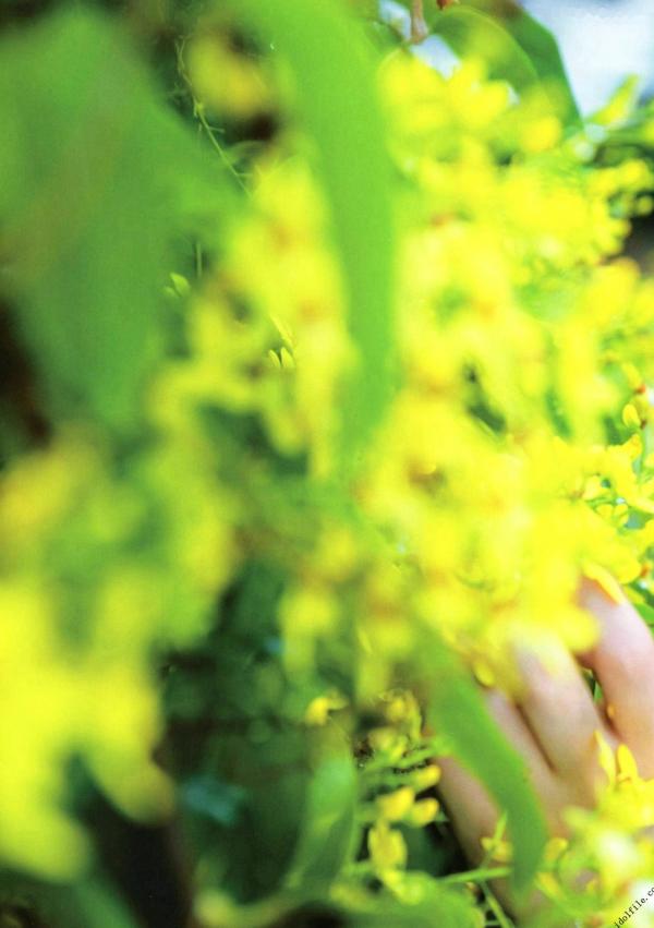 秋元真夏   秋元真夏1st写真集《真夏の气压配置》：海滩泳装与纯白婚纱的治愈系视觉盛宴第83张图片