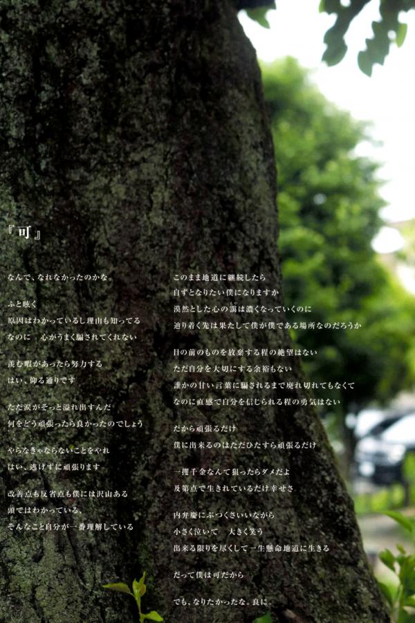 若月佑美  若月佑美 - 履きなれない靴を履き潰すまで 日本女神清新气质写真第67张图片