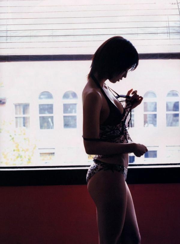 安田美沙子   安田美沙子《別冊 Wild Fairy》写真集：比基尼沙滩户外与居家私房诱惑精选[85P]第2张图片