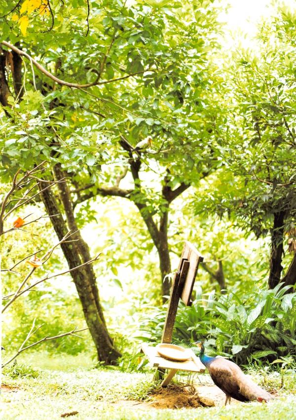 高柳明音   PB写真集 高柳明音《Churi》清纯日系写真，泳装与家居私房风格大赏第109张图片