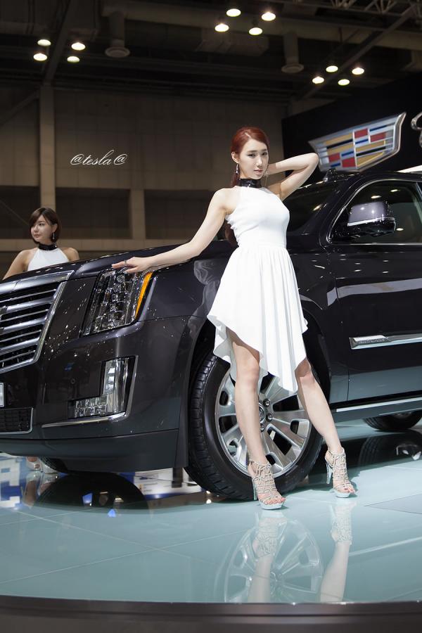 이성화 李圣花 李圣花 2015韩国国际车展超级车模第77张图片