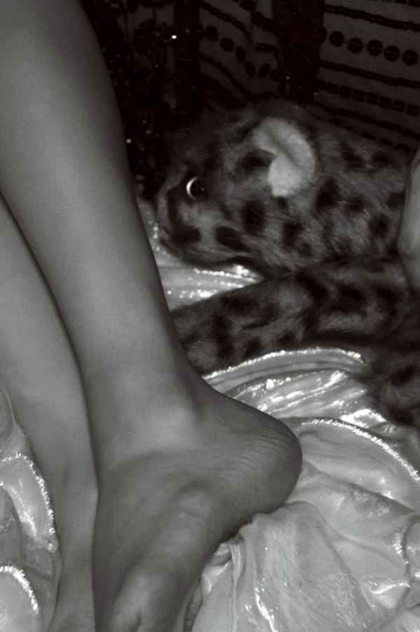 高田里穂 高田里穗 高田里穂《素描》写真：日本女神家居私房性感大片 展现慵懒诱惑美感第3张图片
