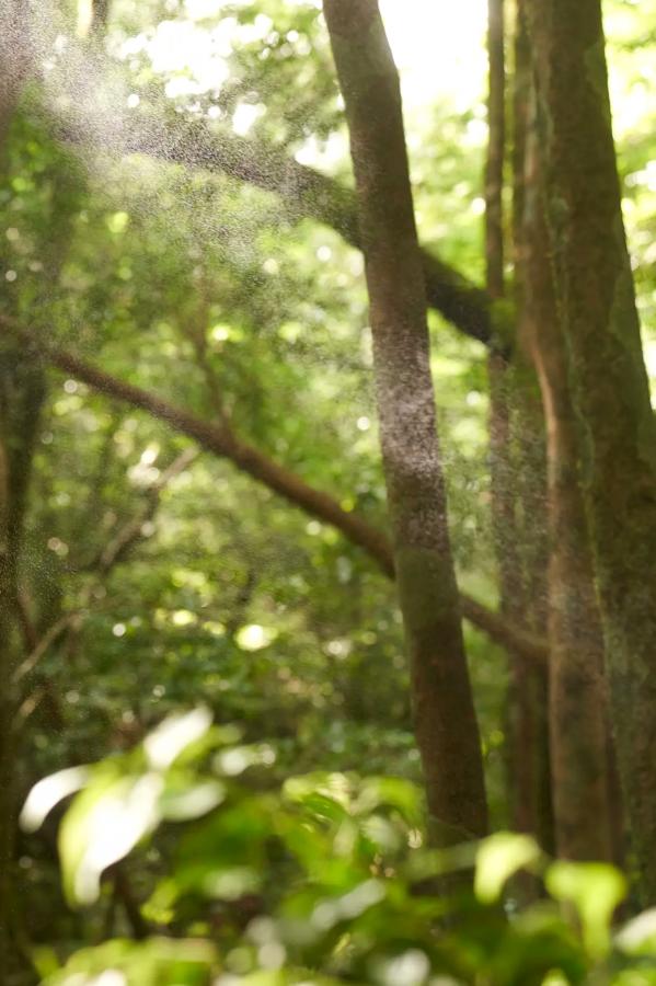 出口亜梨沙 出口亚梨沙 出口亜梨沙 - fantastic 户外沙滩森林性感比基尼写真第72张图片