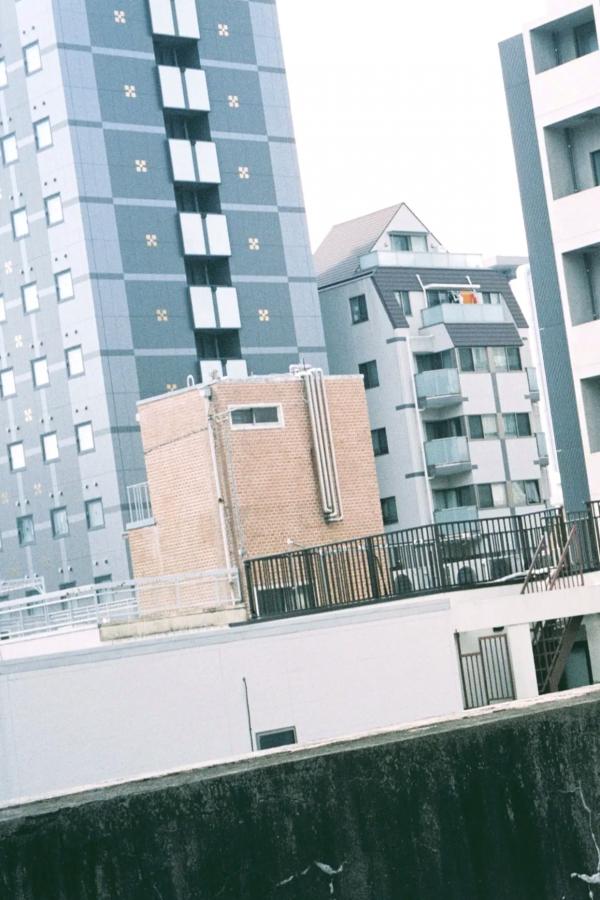 華村あすか 华村飞鸟 华村あすか《New Mode 後編》性感棕色泳装写真 气质尤物白嫩美胸第87张图片