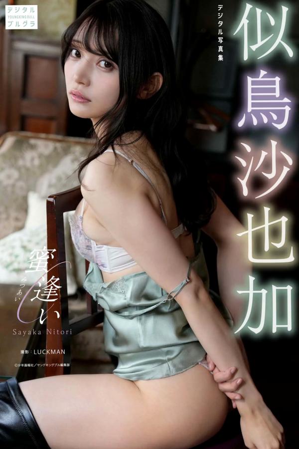 似鳥沙也加 似鸟沙也加 似鳥沙也加 - 蜜逢い [60P] 车内私房与温泉湿身性感写真第1张图片