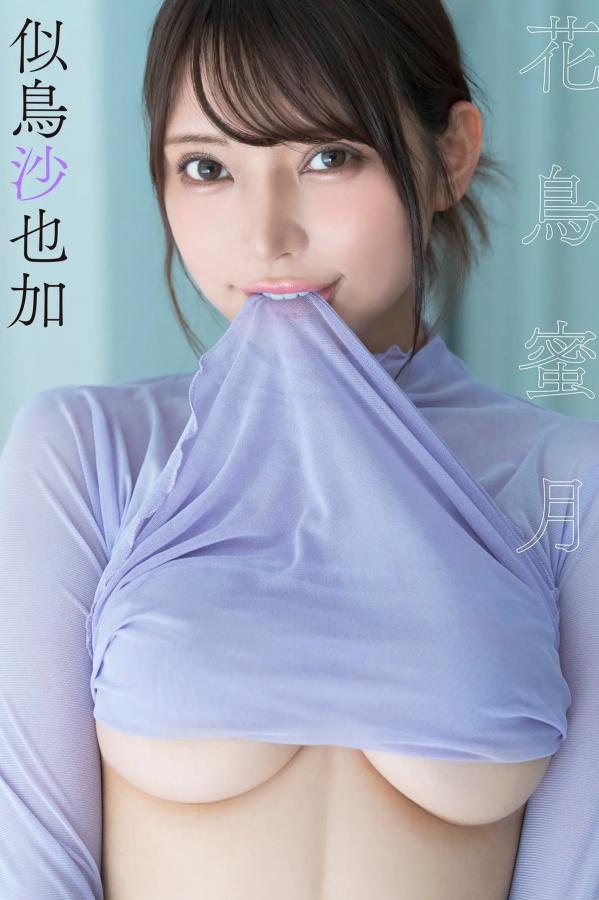 似鳥沙也加 似鸟沙也加 《似鳥沙也加 - 花鳥蜜月 [43P]》豹纹镂空内衣性感私房尤物写真第1张图片