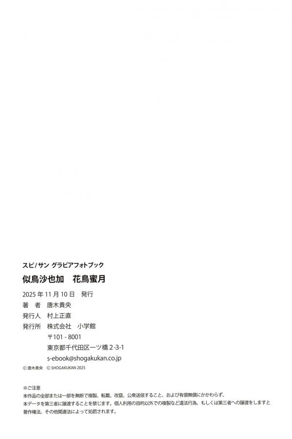 似鳥沙也加 似鸟沙也加 《似鳥沙也加 - 花鳥蜜月 [43P]》豹纹镂空内衣性感私房尤物写真第43张图片