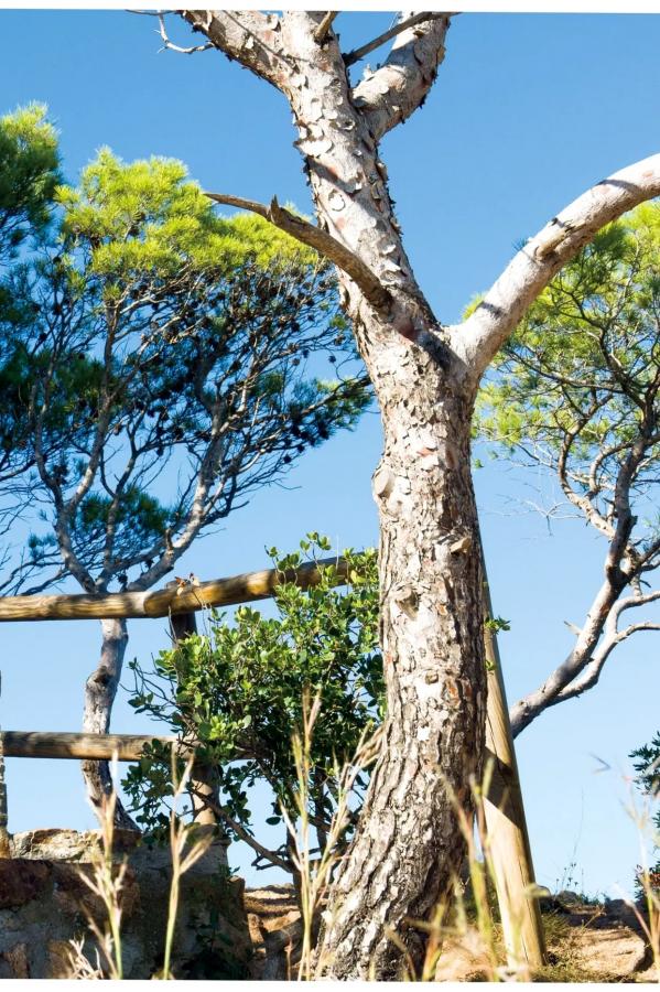 桃月なしこ  桃月なしこ - むすび 户外街拍与阳光比基尼浴室湿身性感写真 [185P171MB]第8张图片