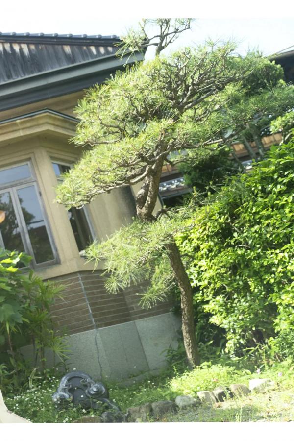 桃月なしこ  桃月なしこ - 不器用な先輩。第52张图片