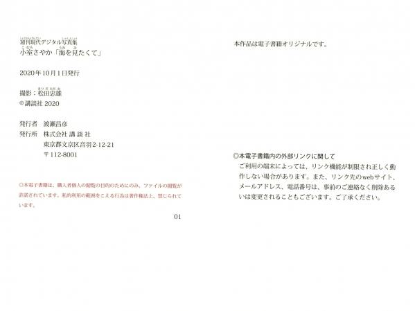小室さやか 小室清佳  小室さやか - 海を見たくて (想看海) 绝美比基尼写真，元气甜美与火辣曲线的完美碰撞，海边与居家慵懒风格集锦第34张图片