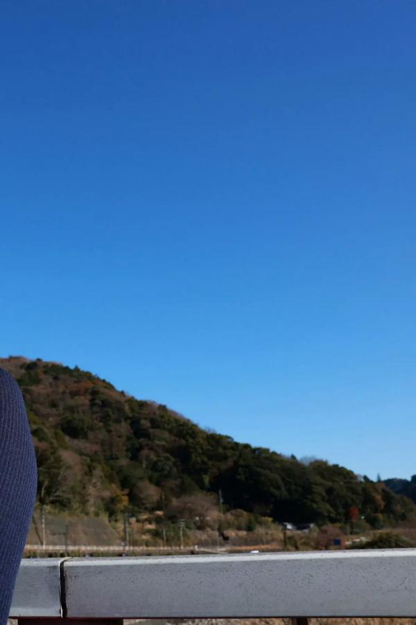 花咲ひより  花咲ひより - 令和最強の巨乳 vol.1 日本清纯美少女户外街拍与私房性感写真第19张图片