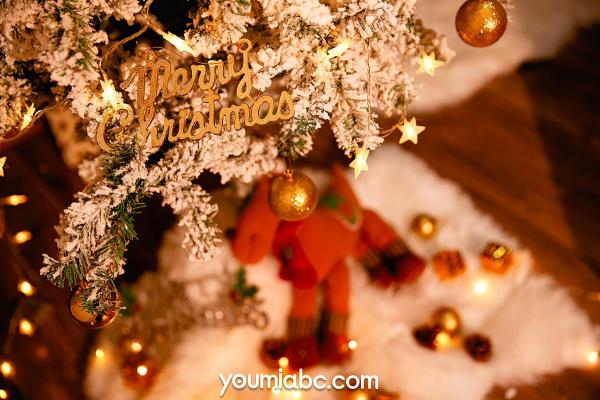 李承美   YouMi尤蜜-2021.12.21-李承美-《圣诞雪夜狂想曲》性感圣诞装写真，妩媚诱惑曲线私房照第3张图片