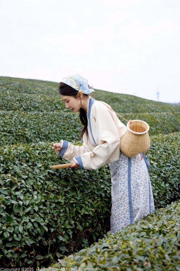 尹甜甜  秀人网XiuRen 尹甜甜 采茶女古风白衣户外大尺度写真 清新茶园极品美腿第2张图片
