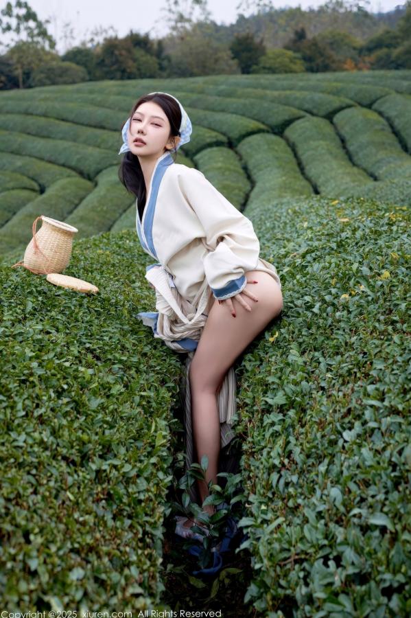 尹甜甜  秀人网XiuRen 尹甜甜 采茶女古风白衣户外大尺度写真 清新茶园极品美腿第39张图片