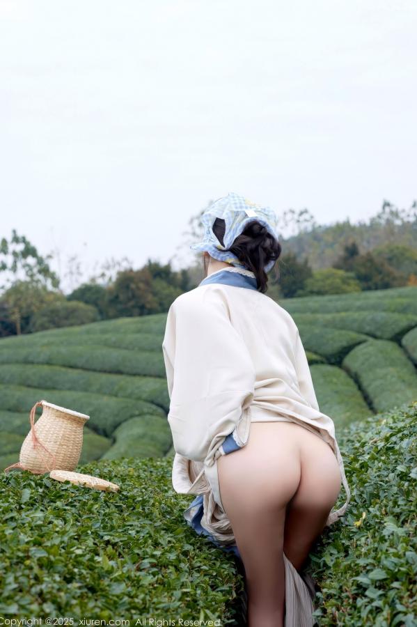 尹甜甜  秀人网XiuRen 尹甜甜 采茶女古风白衣户外大尺度写真 清新茶园极品美腿第41张图片