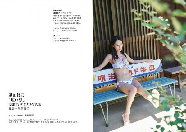 澄田綾乃   澄田綾乃 - 短い祭：户外清新花色比基尼写真，室内榻榻米上的极致诱惑与傲人曲线第33张图片