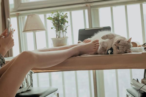 年年Nnian 年年  年年-休闲时光：私房居家内衣写真，甜美模特与猫咪的慵懒互动，性感撩人第45张图片