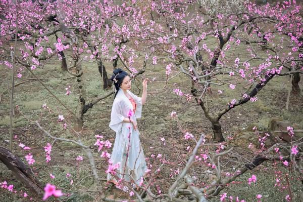 年年Nnian 年年  年年-三月榕：唯美古风汉服繁花写真，灵动出尘的气质女神，清新脱俗的私房大作第20张图片