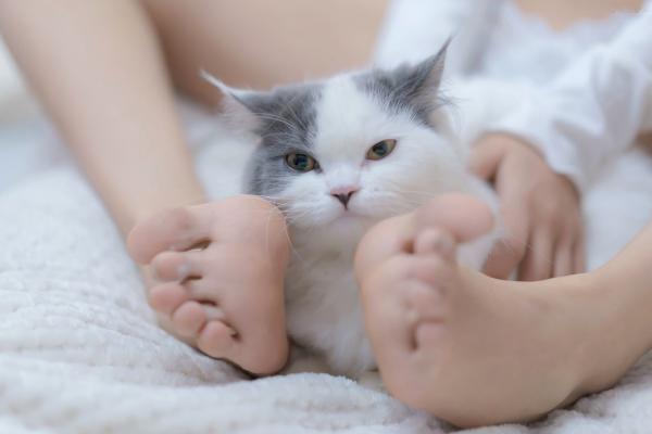 过期米线线喵   过期米线线喵-我和猫：纯白蕾丝私房写真，居家慵懒风与软萌猫咪的治愈系诱惑第35张图片