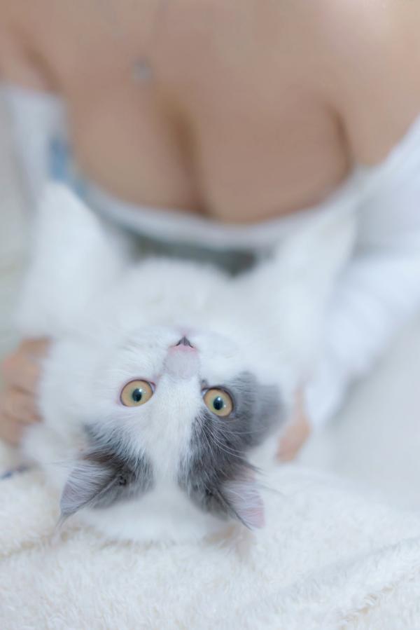 过期米线线喵   过期米线线喵-我和猫：纯白蕾丝私房写真，居家慵懒风与软萌猫咪的治愈系诱惑第54张图片