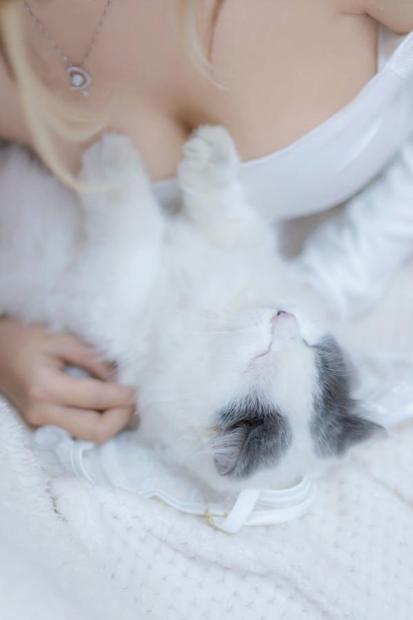 过期米线线喵   过期米线线喵-我和猫：纯白蕾丝私房写真，居家慵懒风与软萌猫咪的治愈系诱惑第55张图片