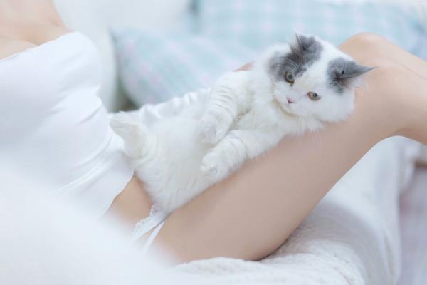 过期米线线喵   过期米线线喵-我和猫：纯白蕾丝私房写真，居家慵懒风与软萌猫咪的治愈系诱惑第65张图片